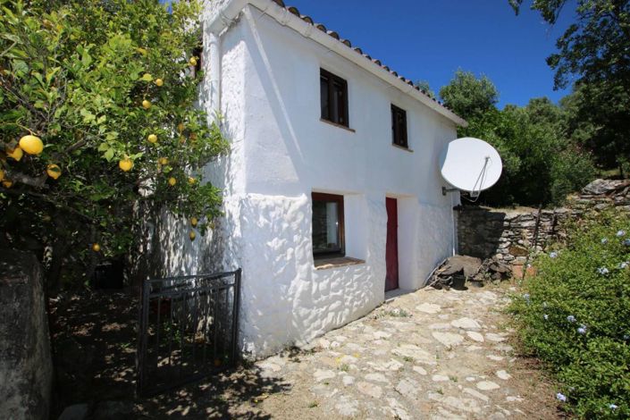 Image No.23-3 Bed Finca for sale