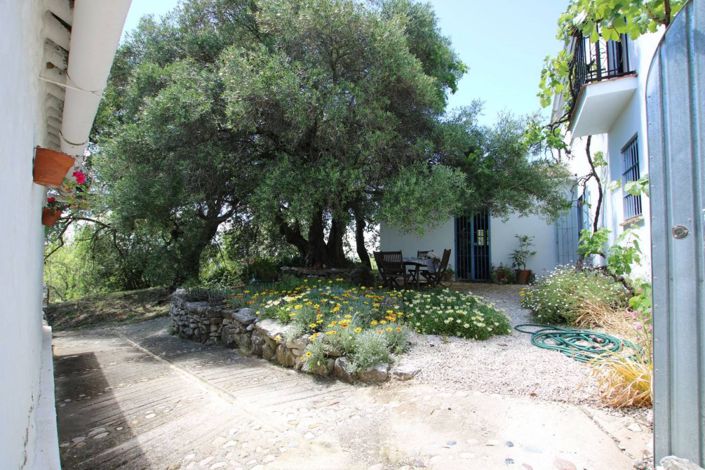 Image No.26-3 Bed Finca for sale