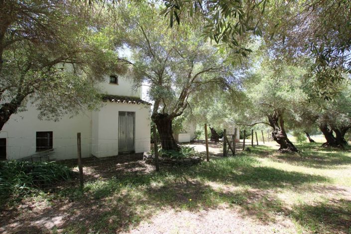 Image No.4-3 Bed Finca for sale