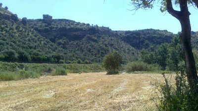 hay-field-20104-1200x675