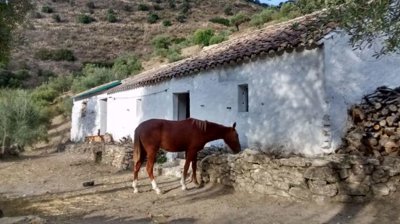 casita-stables-1200x674