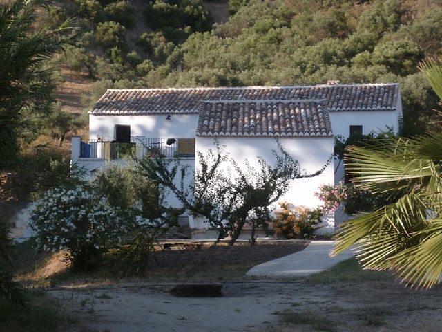 Image No.1-6 Bed Finca for sale