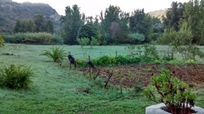veggie-plot-1200x674