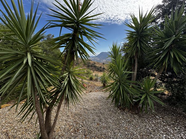 Image No.52-Propriété de 4 chambres à vendre à El Gastor