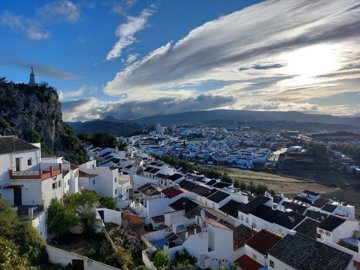 20241027084524-1200x900