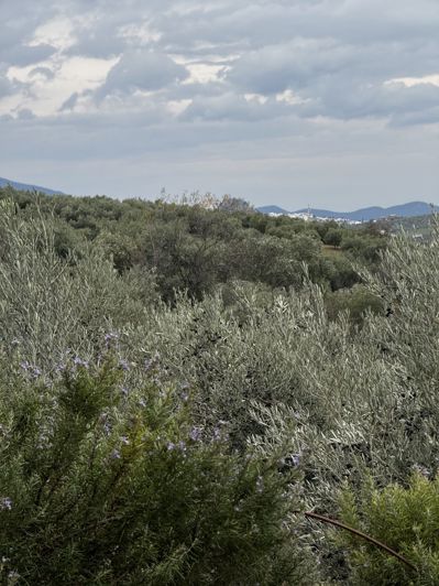 Image No.7-4 Bed Property for sale