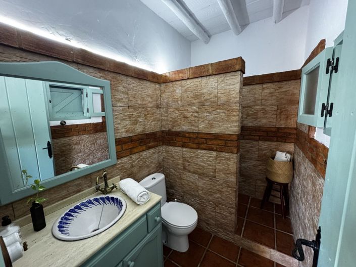 Image No.18-Propriété de 3 chambres à vendre à Algámitas