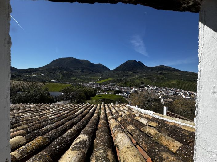 Image No.30-Propriété de 3 chambres à vendre à Algámitas