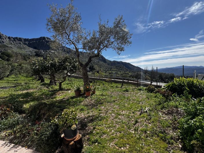 Image No.21-Propriété de 4 chambres à vendre à Benaocaz