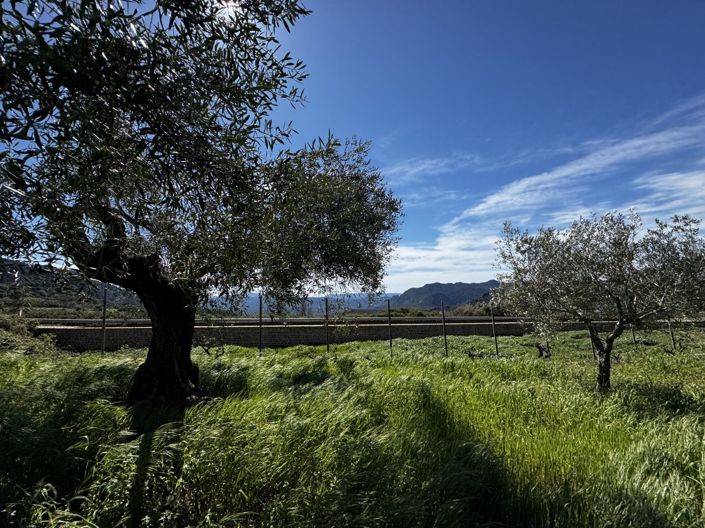 Image No.25-Propriété de 4 chambres à vendre à Benaocaz