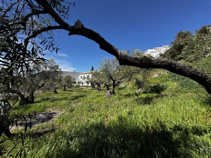 Image No.26-Propriété de 4 chambres à vendre à Benaocaz