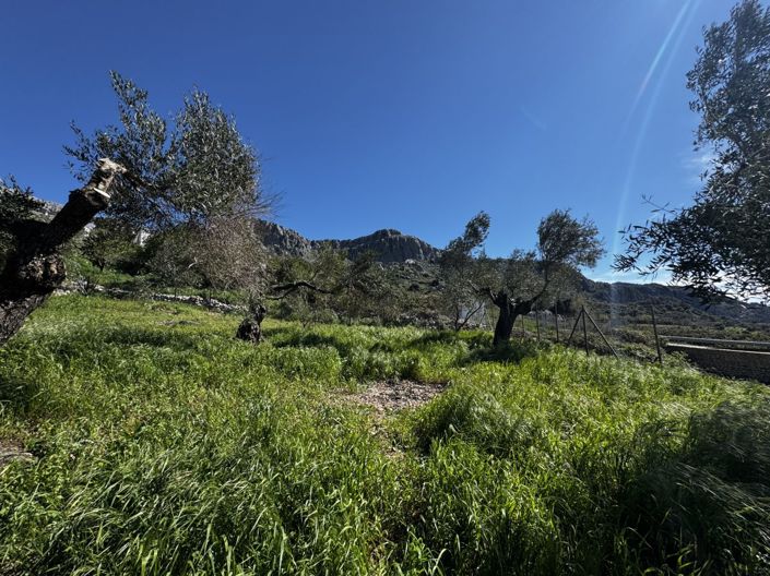 Image No.24-Propriété de 4 chambres à vendre à Benaocaz