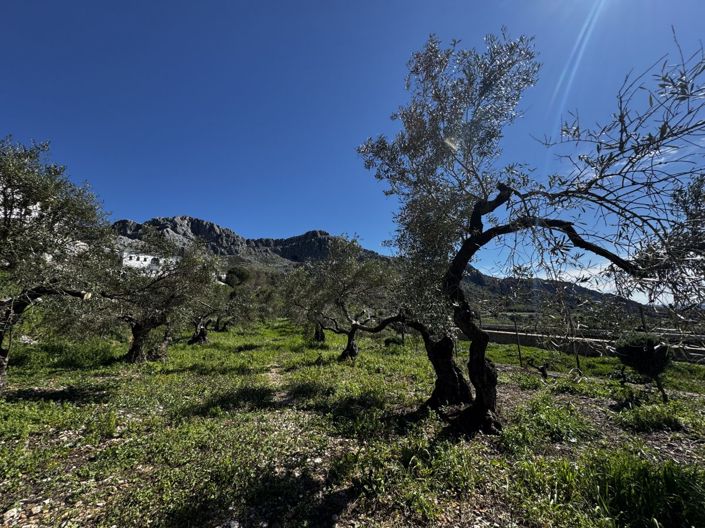 Image No.29-Propriété de 4 chambres à vendre à Benaocaz