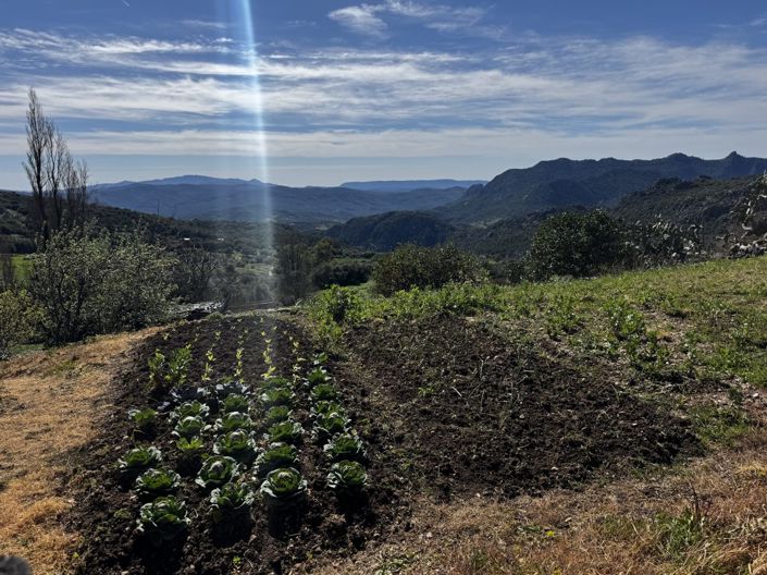 Image No.28-Propriété de 4 chambres à vendre à Benaocaz