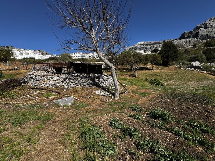 Image No.30-Propriété de 4 chambres à vendre à Benaocaz