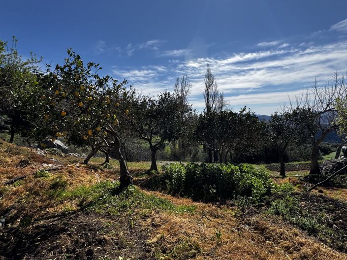 Image No.33-Propriété de 4 chambres à vendre à Benaocaz