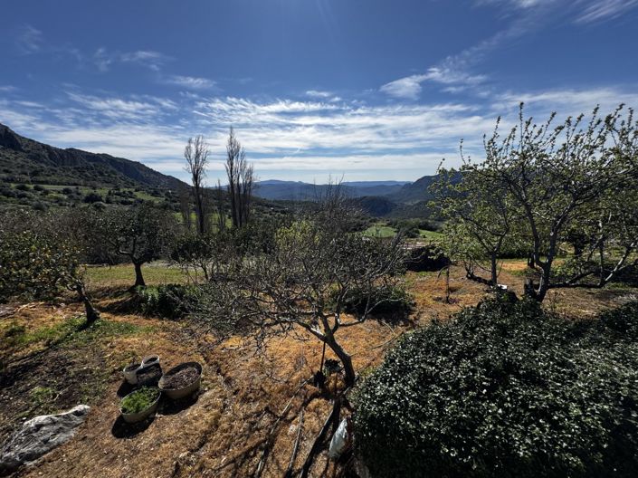 Image No.34-Propriété de 4 chambres à vendre à Benaocaz