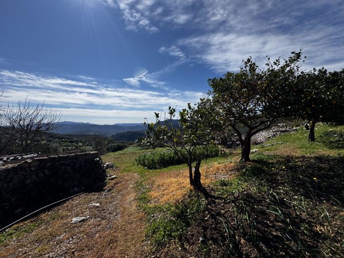 Image No.57-Propriété de 4 chambres à vendre à Benaocaz