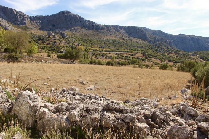 Image No.19-3 Bed Property for sale