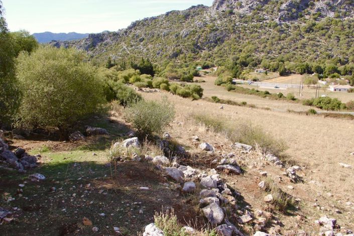 Image No.23-3 Bed Property for sale