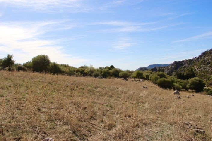 Image No.4-3 Bed Property for sale