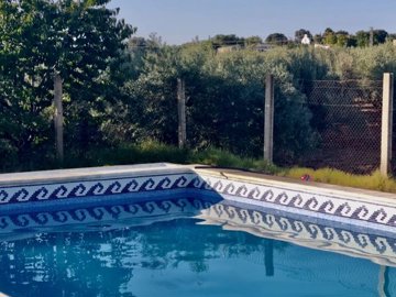 c5b6ca71-e926-46ec-97f0-5c66e5235703-1200x900