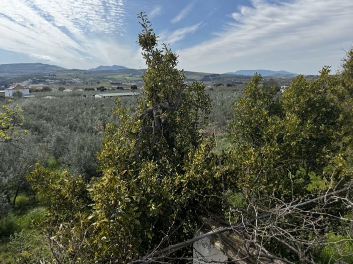 Image No.21-6 Bed Property for sale