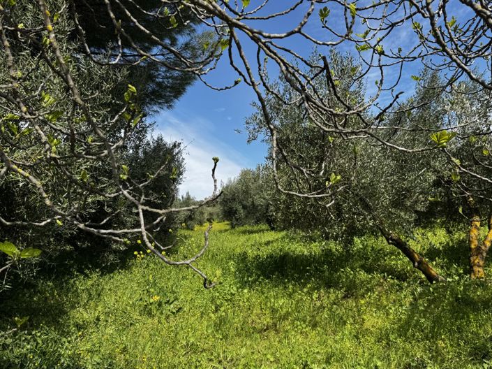 Image No.34-6 Bed Property for sale