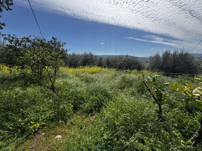 Image No.41-6 Bed Property for sale