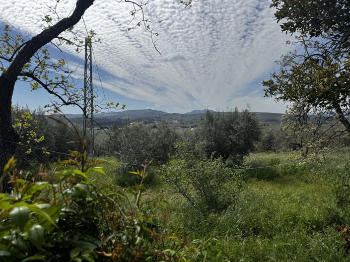 Image No.42-6 Bed Property for sale