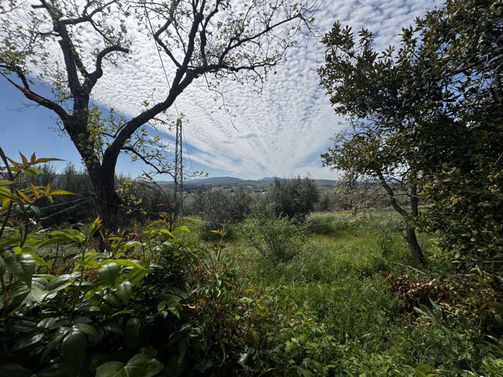 Image No.43-6 Bed Property for sale