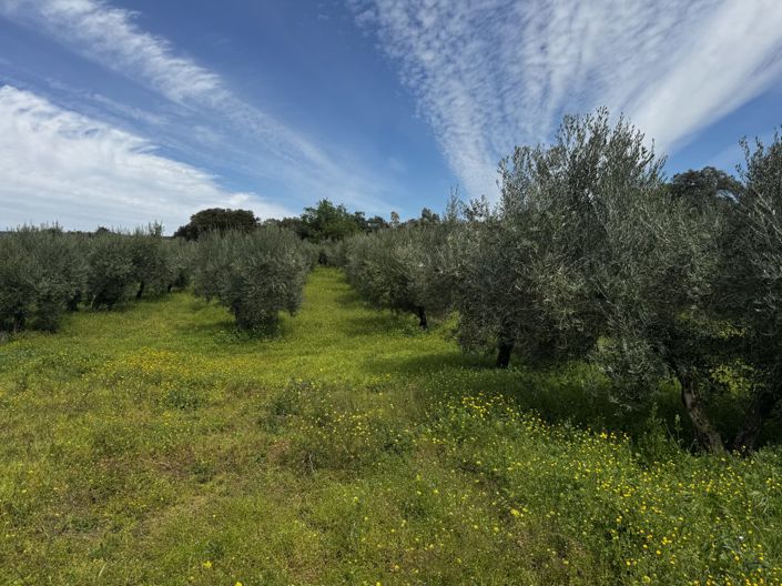 Image No.54-6 Bed Property for sale