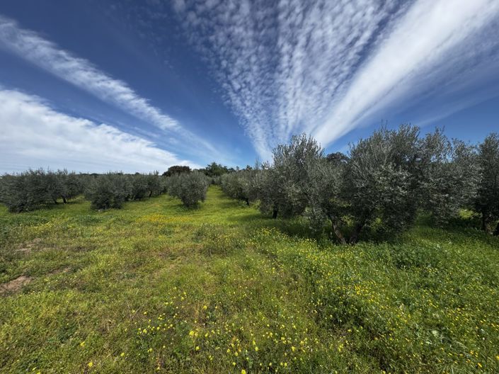 Image No.56-6 Bed Property for sale