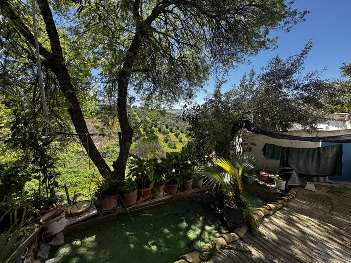 Image No.16-Maison de ville de 3 chambres à vendre à Torre-Alháquime