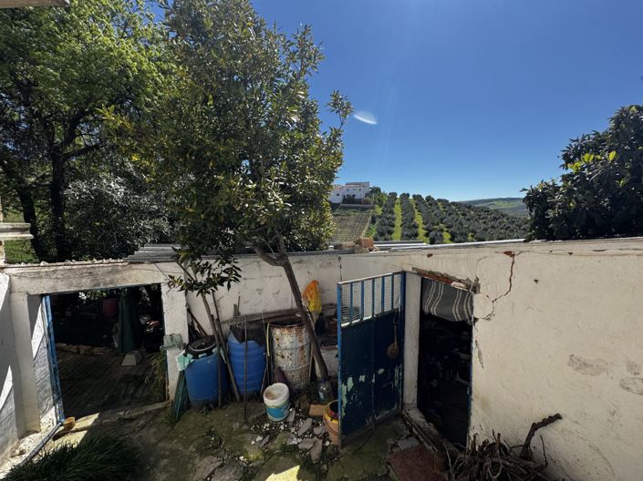 Image No.18-Maison de ville de 3 chambres à vendre à Torre-Alháquime