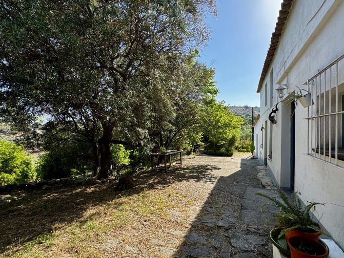 Image No.8-Maison de campagne de 2 chambres à vendre à Algodonales