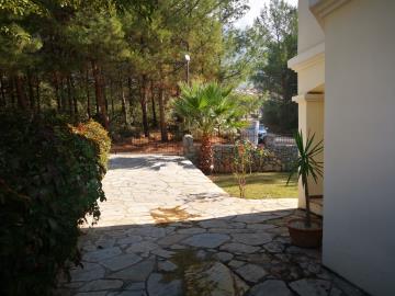 3--gated-driveway
