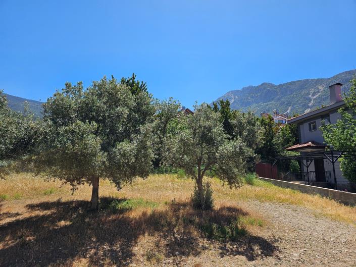 Image No.30-3 Bed Apartment for sale