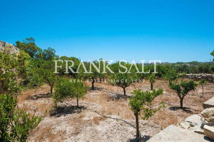 Image No.4-Ferme de 5 chambres à vendre à Birzebbuga