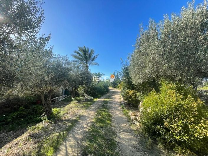 Image No.3-Ferme de 3 chambres à vendre à Mgarr