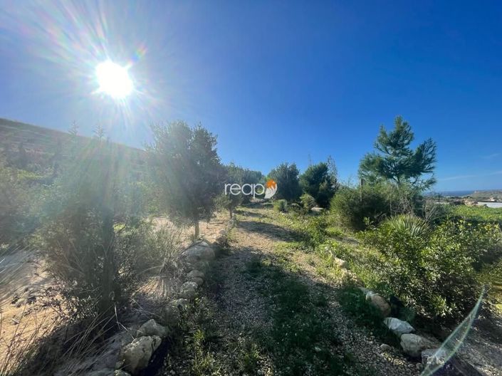 Image No.6-Ferme de 3 chambres à vendre à Mgarr