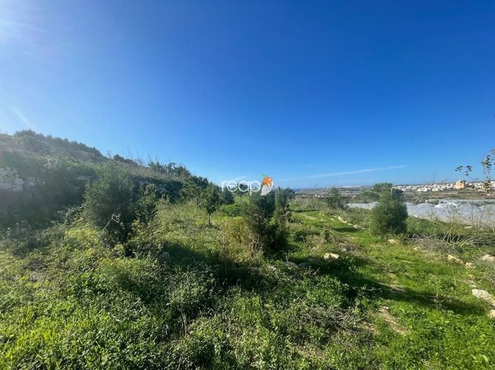 Image No.7-Ferme de 3 chambres à vendre à Mgarr