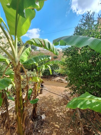 Image No.5-2 Bed Townhouse for sale