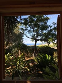 51dd1225-dce8-4d8e-b6a5-20f4017ca2a0