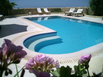 50045fa3-2ea7-4160-926b-2842bf2c1373