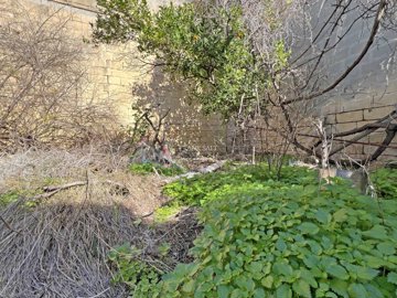 2c6a3305-a95d-4ff3-a222-5a8a8f223e16