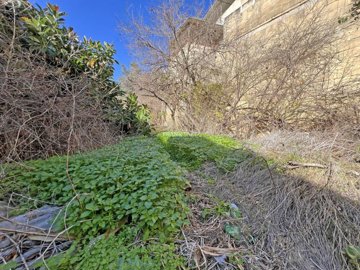 997d161c-ca05-4f6d-91b9-d4e5ecda8f86