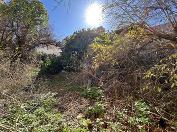 efffaa15-68a4-486f-8ea9-55fd1e2c4ad3