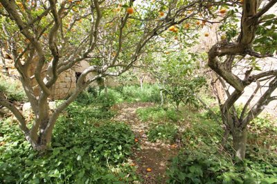 1 - Siggiewi, Propriété