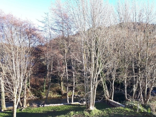 Image No.9-Maison de 5 chambres à vendre à Béziers